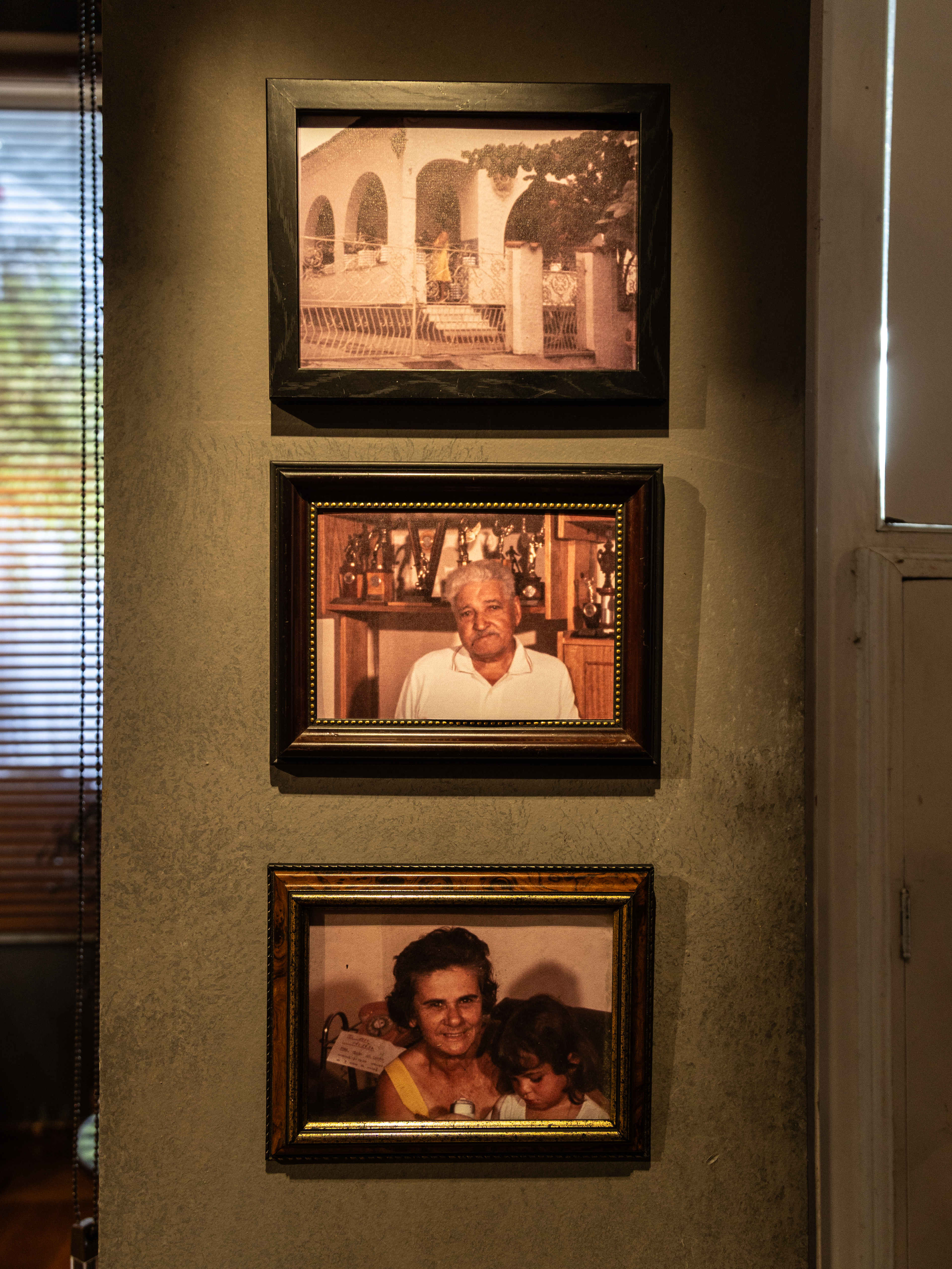 Galeria de fotos: Família Zico 5